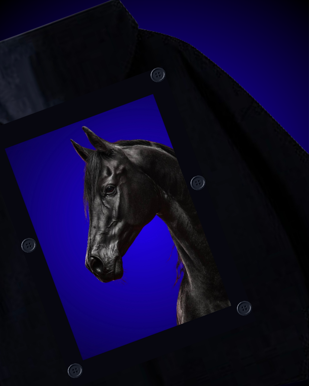 1 HOODIE 2 PATCHES DELLE DUNES SNAPPATCH COLLECTION